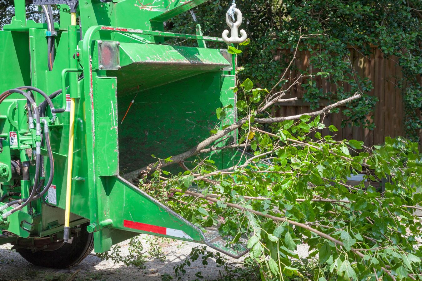 Tree maintenance and cleanup service in Arlington TN